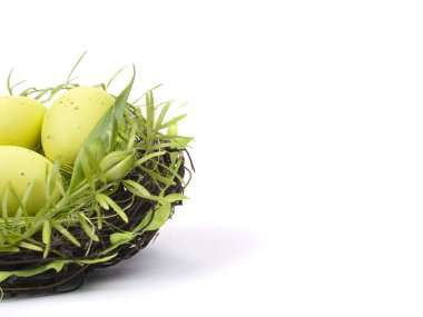 Yuvadaki paskalya yumurtaları