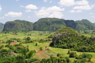 Vinales valley in Cuba clipart