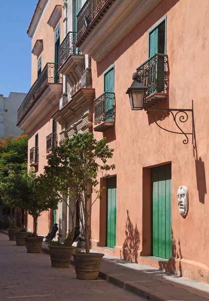 Rosa målade gamla hus med gatlykta och brevlåda — Stockfoto