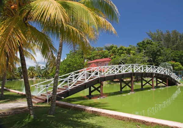Puente de pie con reflexión en el parque Hesone — Foto de Stock