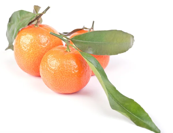 Three tangerines with green leaves — Stock Photo, Image