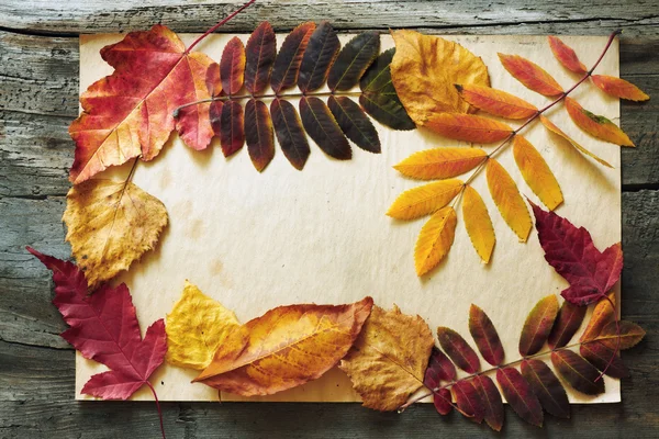Autumn leaves and old paper — Stock Photo, Image