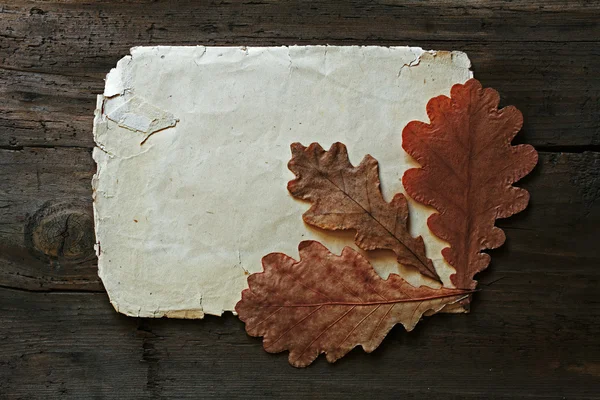 Herbstblätter und altes Papier — Stockfoto