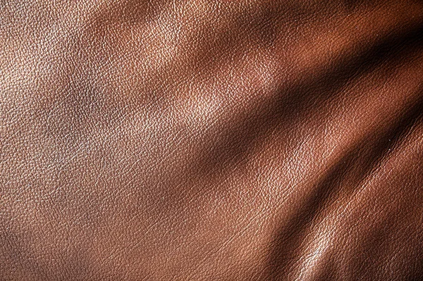 Tekstury skóry — Zdjęcie stockowe