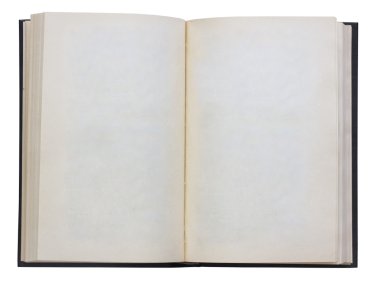 Blank open book