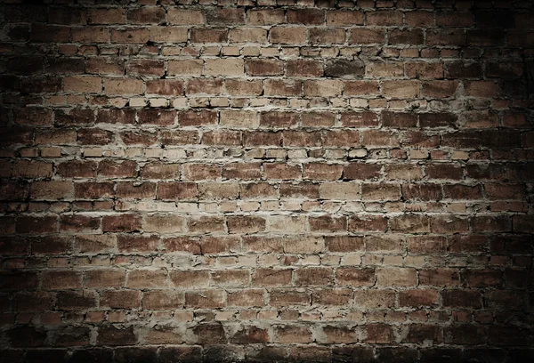 Brick wall Stock Image