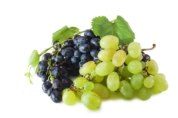 Cachos de uvas — Fotografia de Stock