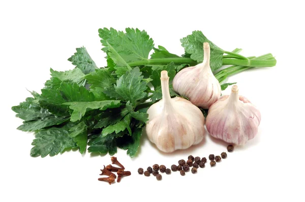 Garlic with leaves of a celery and spices — Stock Photo, Image