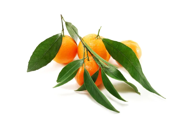 Mandarini Sono Isolati Uno Sfondo Bianco — Foto Stock