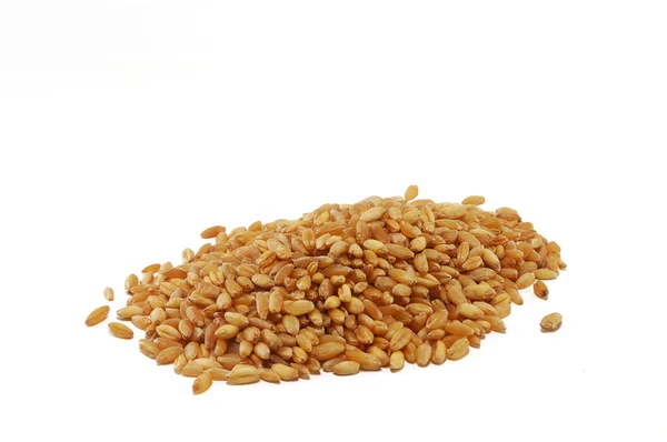 Зерно Пшениці Ізольовано Білому Тлі — стокове фото