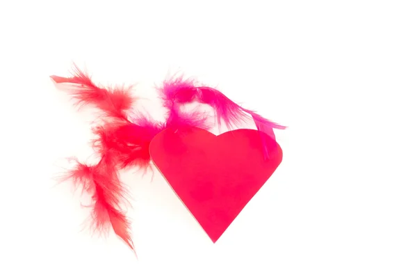 Heart Red Feather Isolated White Background — Stock Photo, Image