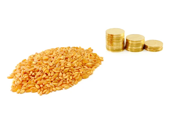Grãos de trigo e moedas metálicas — Fotografia de Stock