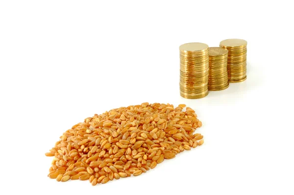 Zrna pšenice a kovových mincí — Stock fotografie
