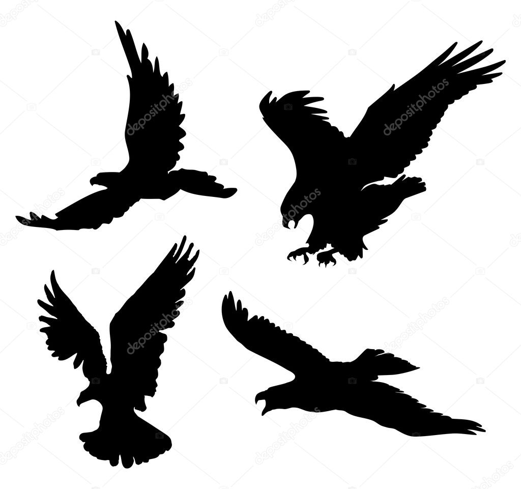 Flying eagles silhouettes on white background, vector illustration.