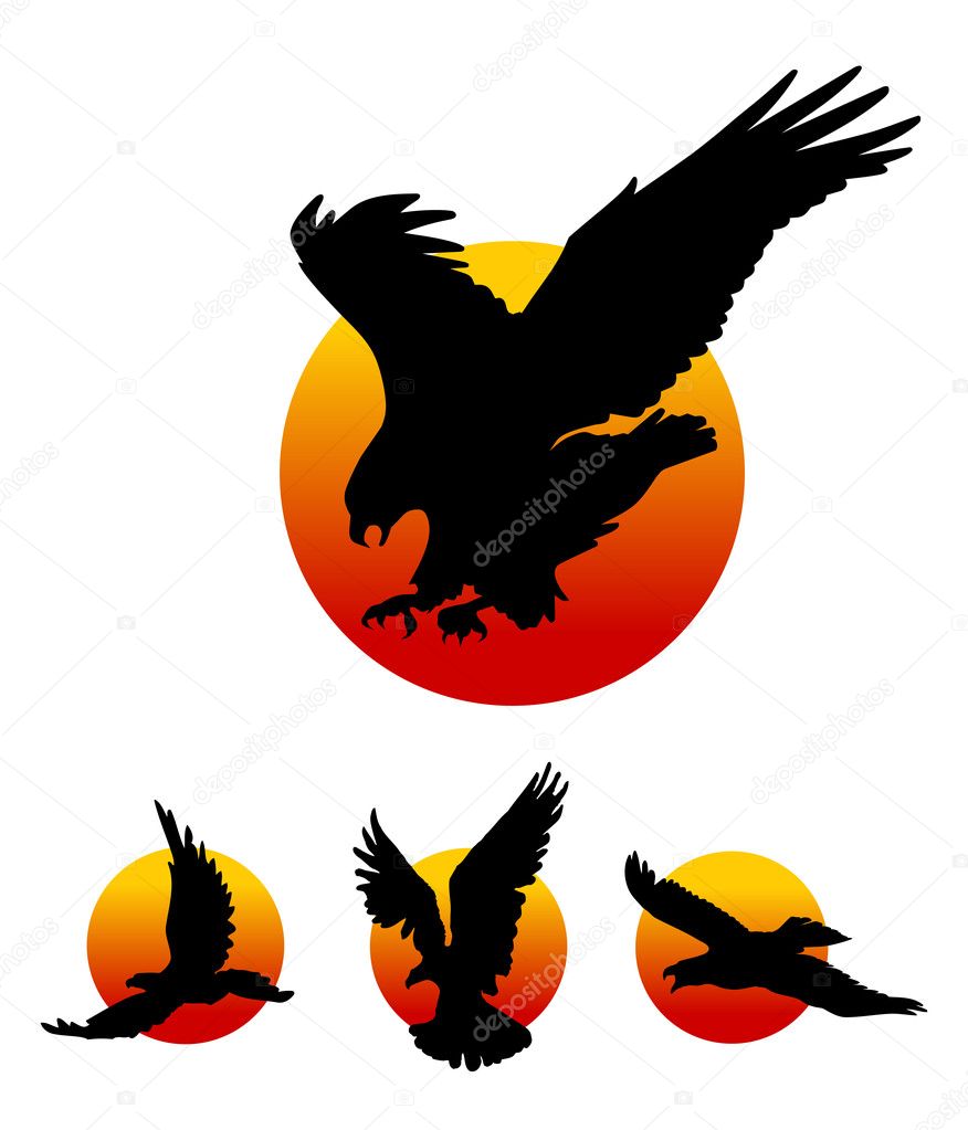 Águilas Voladoras Siluetas Sobre Fondo Blanco Ilustración Vectorial  Ilustración de stock de ©day908 #4803906