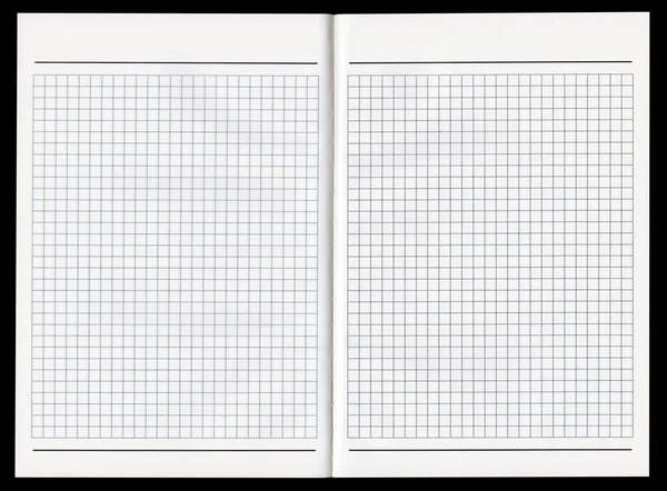 Notebook spread — Stock Photo, Image