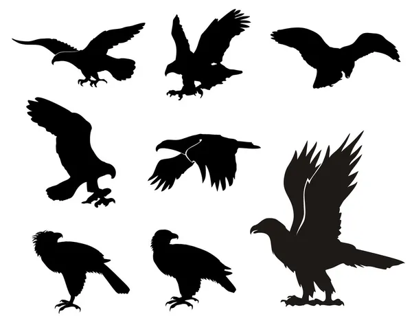 Siluetas de águila — Archivo Imágenes Vectoriales