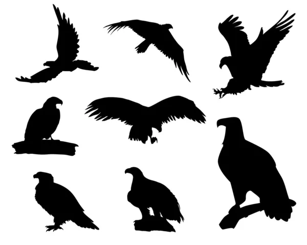 Eagle silhouettes — Stock Vector