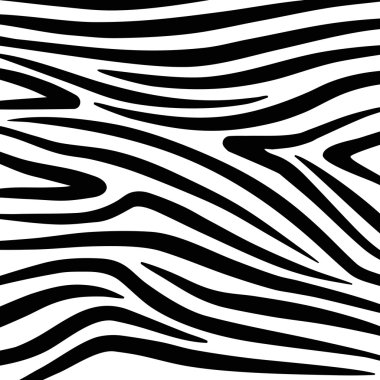 Vector Zebra Texture Black And White clipart