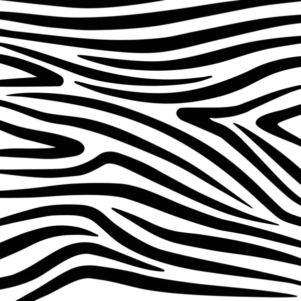 Vector Zebra Texture Black And White — Stock Vector