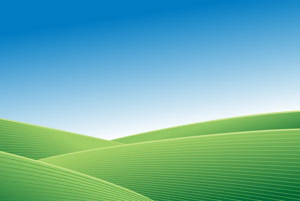 Zelené pole a modrá obloha — Stockový vektor