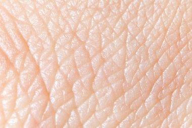 Human skin super macro texture. clipart