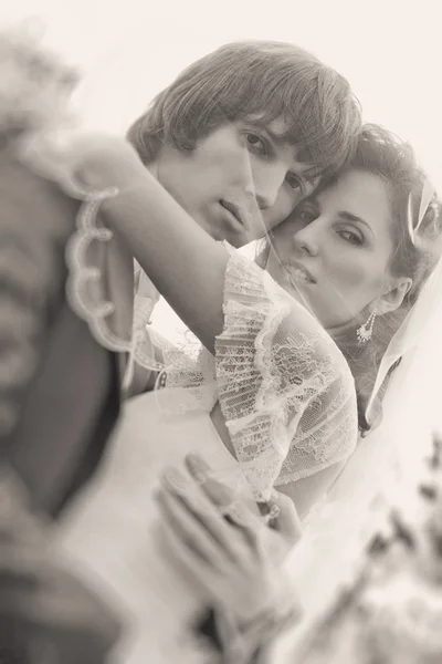 若い結婚式のカップルの肖像画 レトロなスタイルの色 — ストック写真