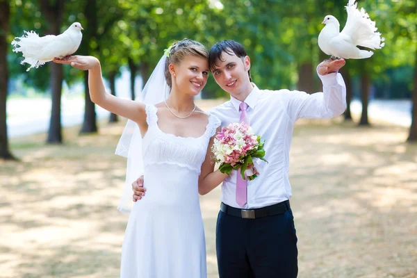 年轻的婚礼夫妇与白色鸽子 — 图库照片
