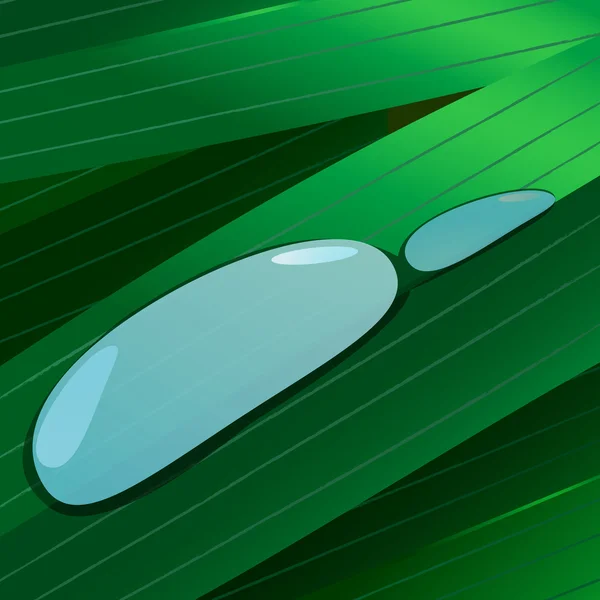 Gotas de agua sobre hojas verdes. eps10 — Archivo Imágenes Vectoriales