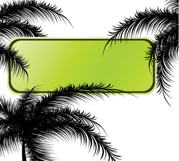 Bannière verte avec branches de palmier — Image vectorielle