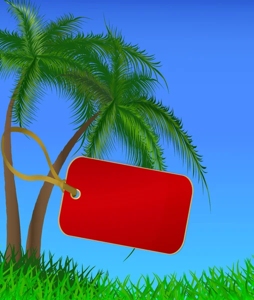 Palmiye ağacı bir gövde üzerinde asılı kırmızı etiket. eps10 — Stok Vektör