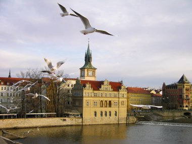 Vltava river embankment, Prague clipart