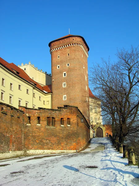 Hrad Wawel v Krakově, Polsko — Stock fotografie