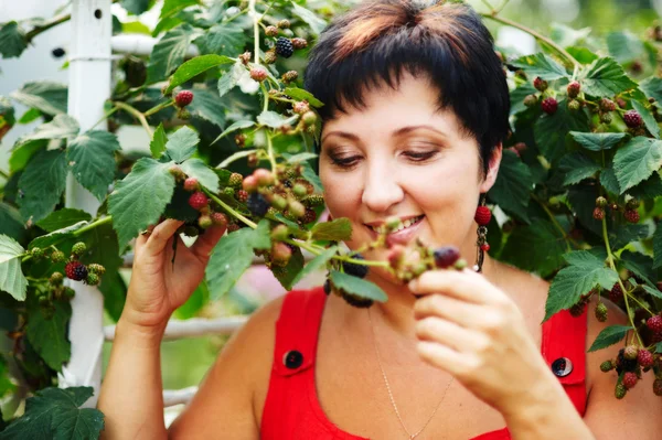 A mulher com o cabelo preto em um arbusto de amora-preta perto — Fotografia de Stock