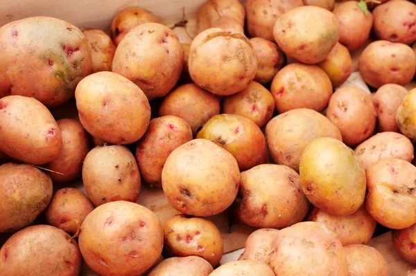 stock image Potato crop collected in a wooden box