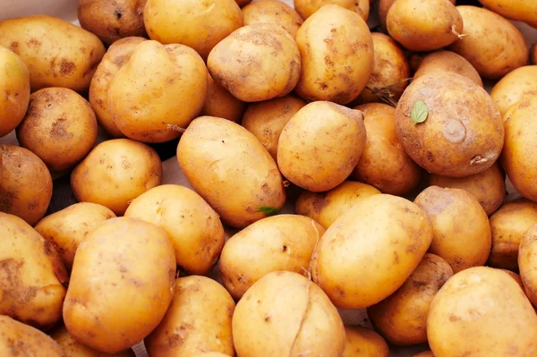 stock image Potato crop collected in a wooden box