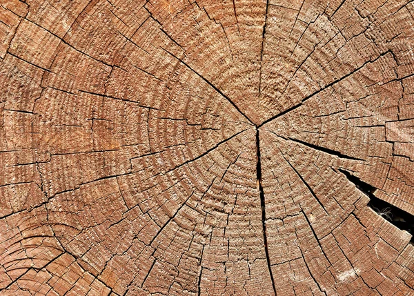 Verweerde houten knippen — Stockfoto