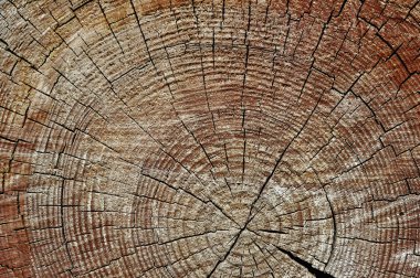 Weathered wooden cut clipart