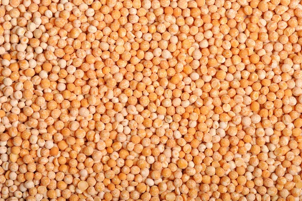stock image Dry peas