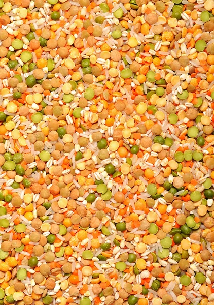 豆科蔬菜和米饭 — 图库照片