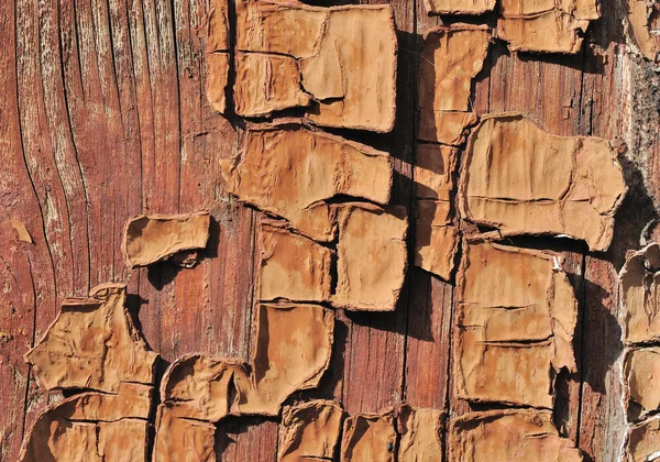 Rough Weathered Cracked Textured Painted Wood Background — Stock Photo, Image