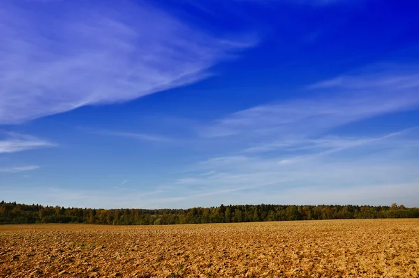 日当たりの良い秋の日の森付近のフィールドを農業 — ストック写真