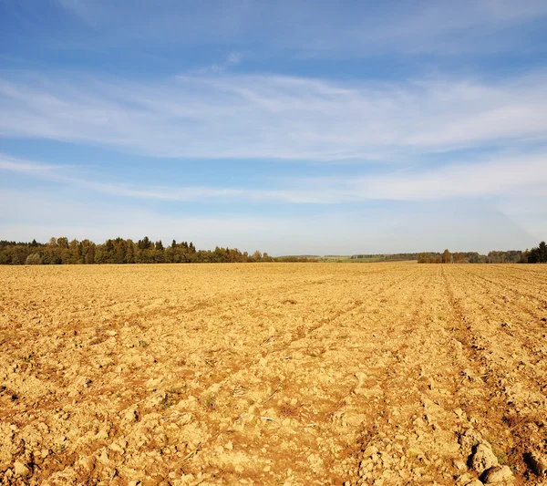 Farmfield in autumn — Stock Photo, Image