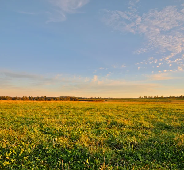 Сельский Пейзаж Красивым Закатом — стоковое фото
