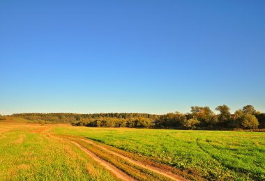 kırsal yol