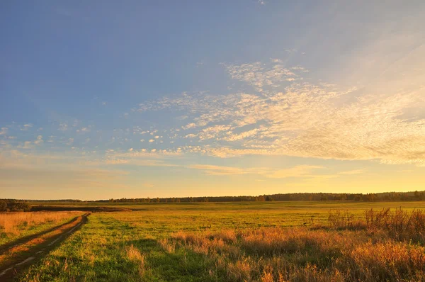 Ländliche Landschaft Mit Schönem Sonnenuntergang — Stockfoto