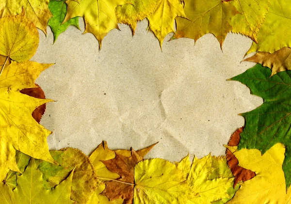 Bunte Herbstblätter Über Papierhintergrund — Stockfoto