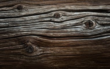 Grunge wooden log clipart