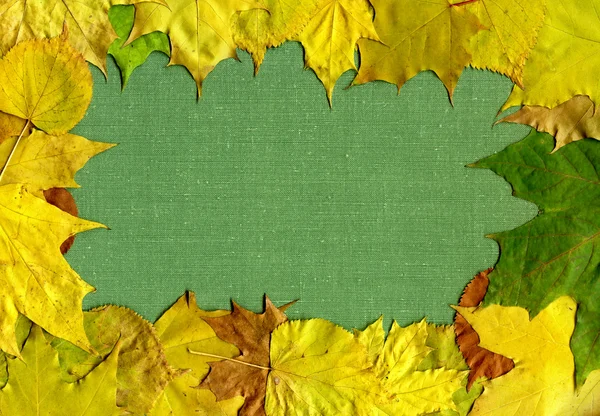 多彩的秋天的叶子在画布背景 — 图库照片