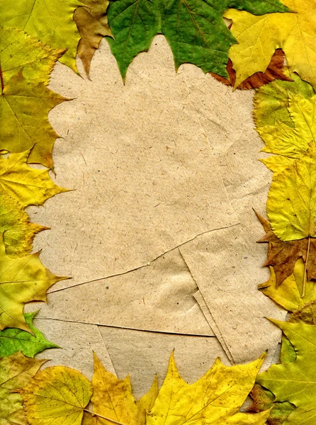Blätter und Papier — Stockfoto